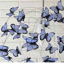 Eléctrica Ramblas mariposas